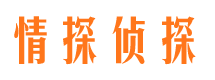 石家庄市婚外情调查